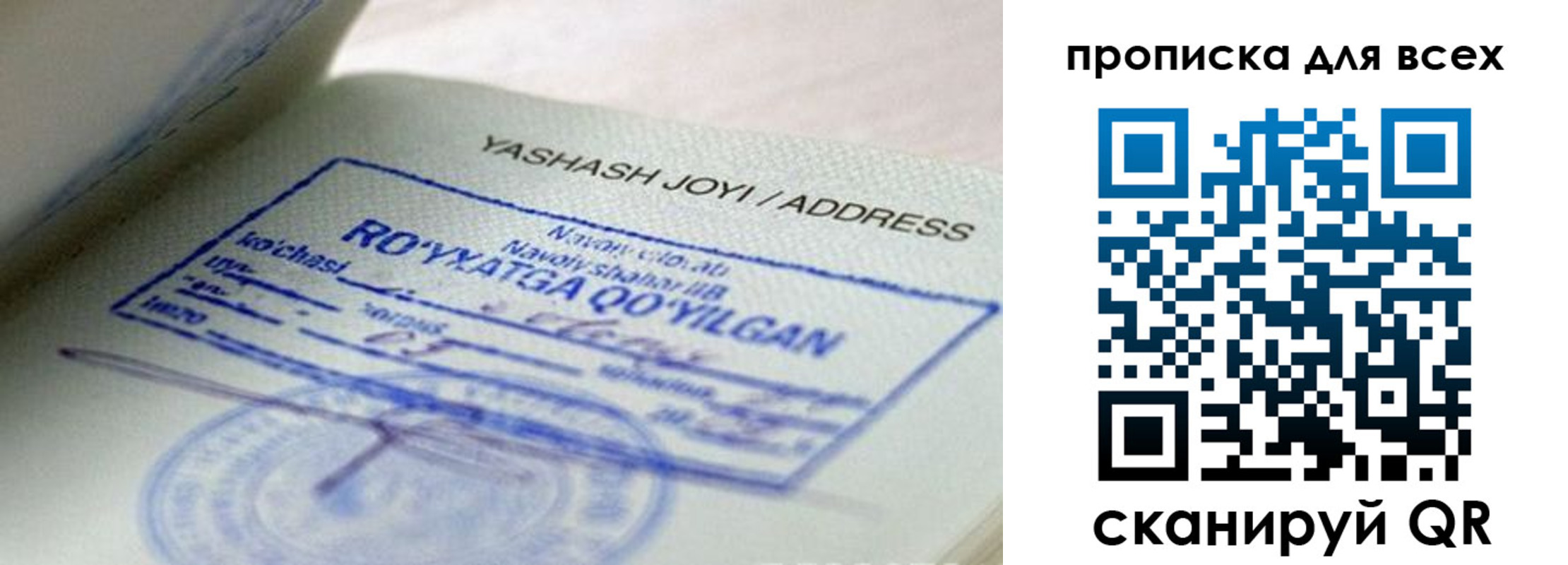временная регистрация поиск в Могочи